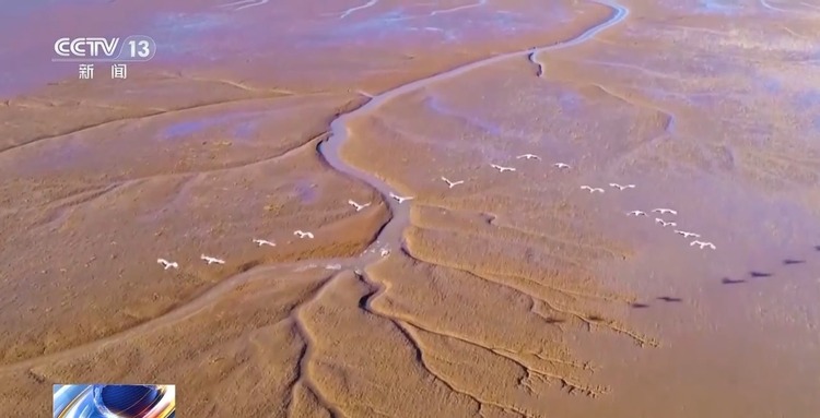 文化中国行丨欢迎“回家”！这些新晋世界遗产地准备好了