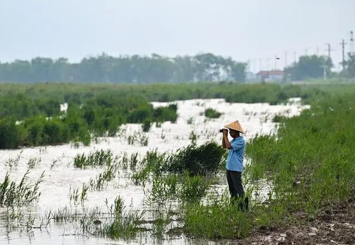 1729132331145054.png image.png