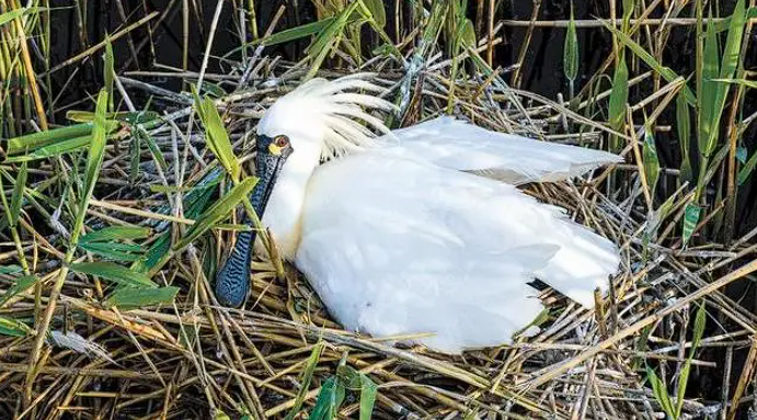 1729132345168208.png image.png