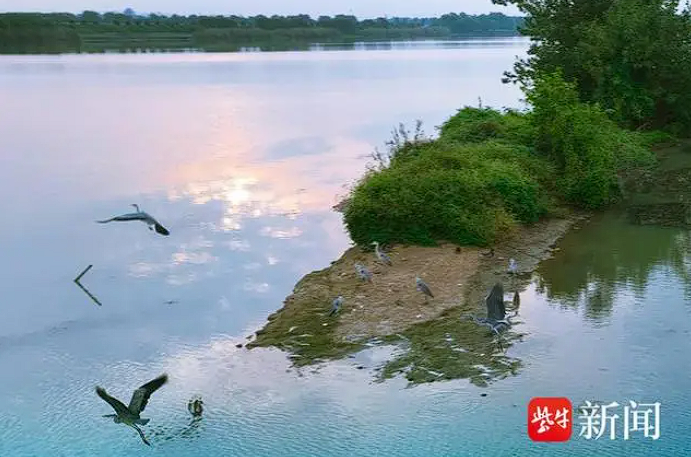 1729132424198666.png image.png