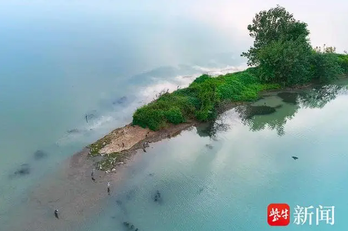 1729132436183915.png image.png