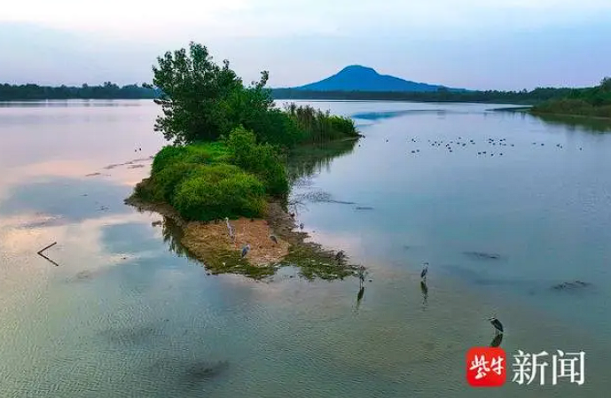 1729132445449943.png image.png