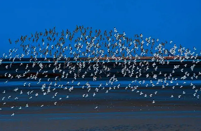 1729132506211193.png image.png