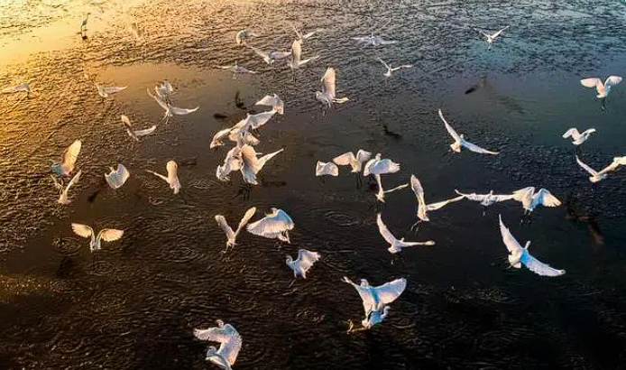 1729132515187641.png image.png