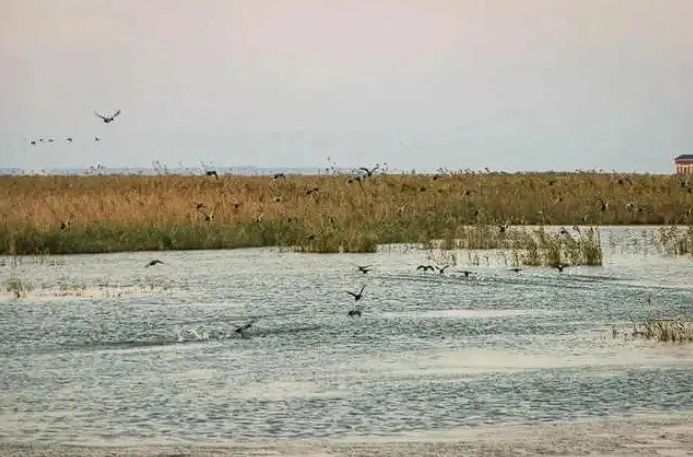 1729132527186943.png image.png