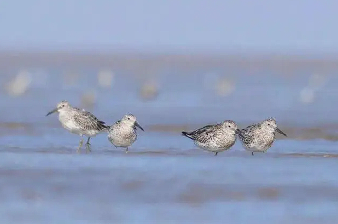 1729132533194604.png image.png