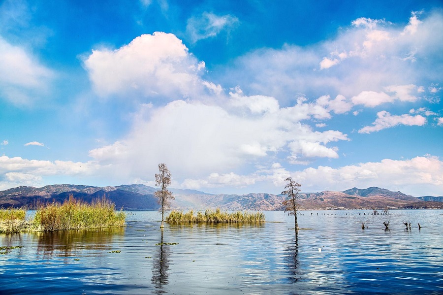 1729215014113007.jpg 100f1f000001gq9wk53D8_R_1600_10000.jpg