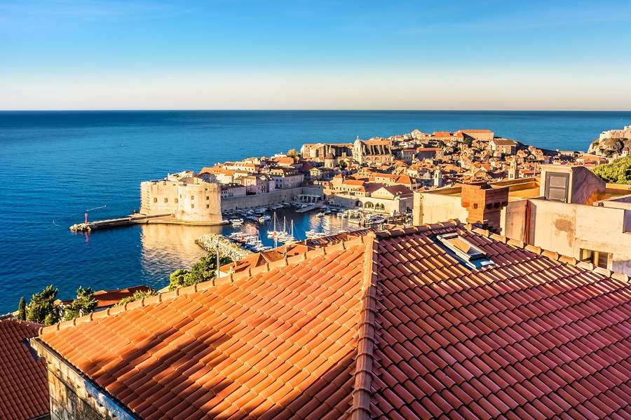 1729217544910576.jpg 0106x120008j95mo6D490_R_1600_10000.jpg