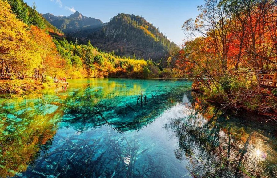 1729240526378059.jpg 0101b12000188u3euD62B_C_1600_1200.jpg