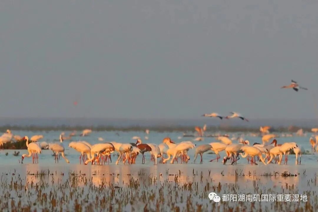 1758680860187396.jpg 70f51f84d147231f388bb0ef59483f6e_compress.jpg