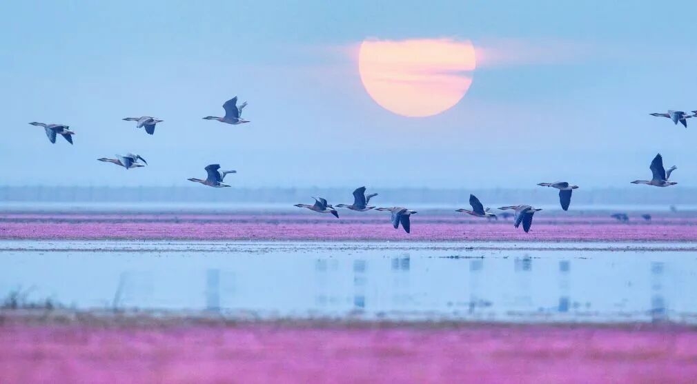 1758683642164443.jpg cb44e0f89a6a6055e34ecb11523a9824_origin.jpg