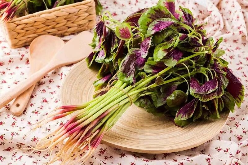 1758683795113260.jpg 0368c9ead0497809a0667eee429a58d3_origin(1).jpg