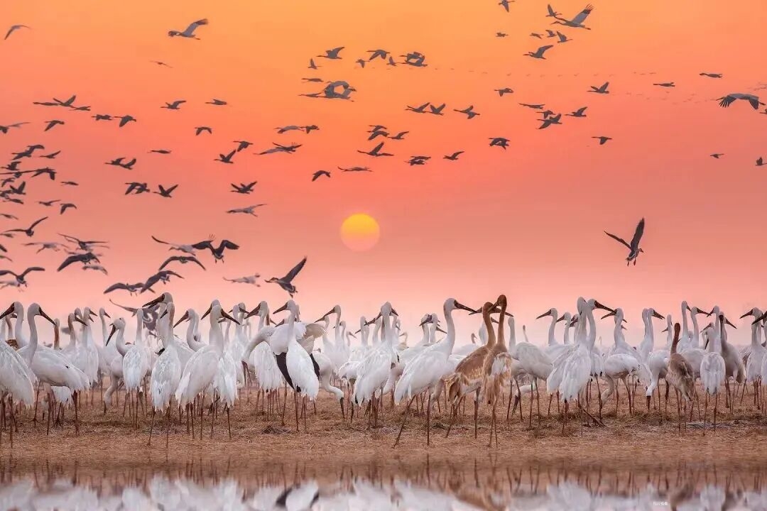 1758683827137187.jpg ec5b5e236abe0c27663e6d458c8d58a0_origin(1).jpg