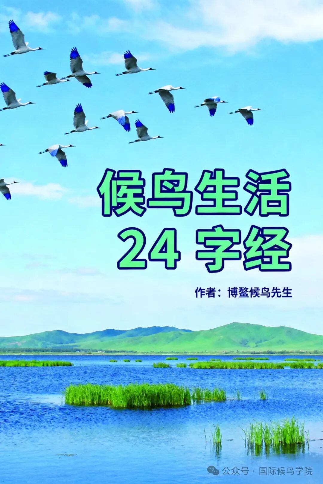 1761041327132653.jpg DM_20251021180721_003.jpg