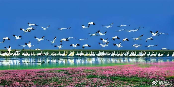 1761042079157273.jpg DM_20251021181344_014.jpg