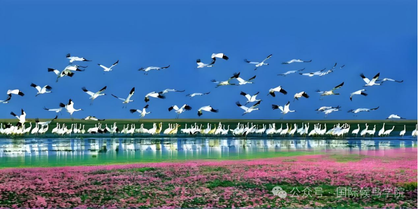 1761898617214658.png DM_20251031114139_015.png